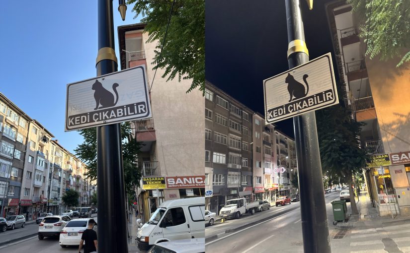 Fotoğraflarla Duygusal Bağ Kurmak